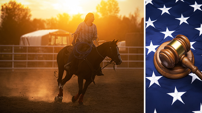 Equine and Farm Animal Activity Liability Acts (Now in 48 States) - What They Are and Litigation Issues