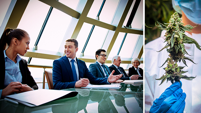 What Qualifies as Legal Hemp Under the New Federal Rules: Business, Compliance, and Litigation Risks